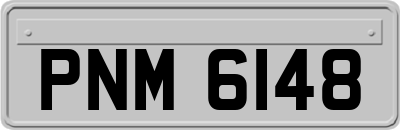 PNM6148