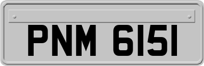 PNM6151