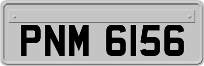 PNM6156
