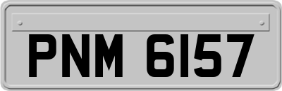 PNM6157