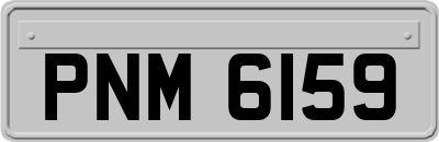PNM6159