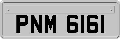 PNM6161