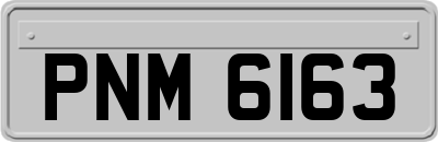 PNM6163