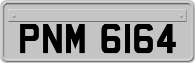 PNM6164