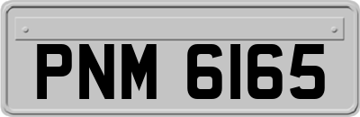 PNM6165