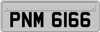PNM6166
