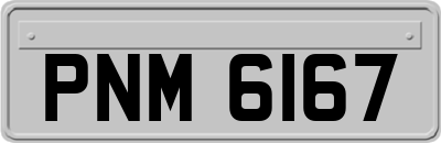 PNM6167
