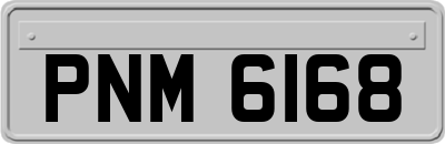 PNM6168