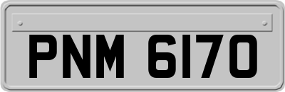 PNM6170