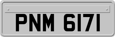 PNM6171