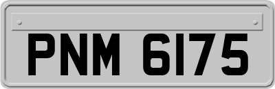 PNM6175