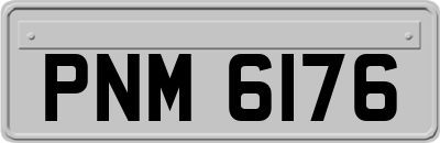 PNM6176
