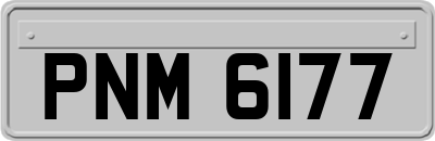 PNM6177