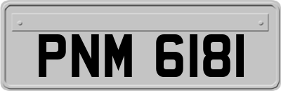 PNM6181