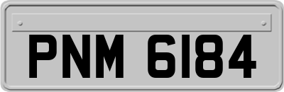 PNM6184