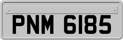PNM6185