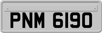 PNM6190