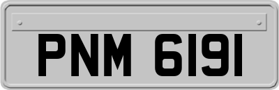 PNM6191