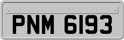 PNM6193