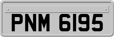 PNM6195