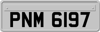 PNM6197