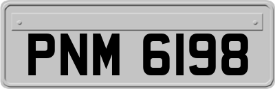 PNM6198