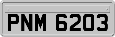 PNM6203