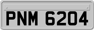 PNM6204