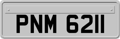 PNM6211