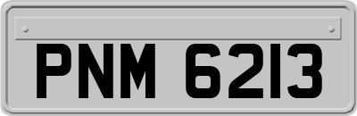 PNM6213