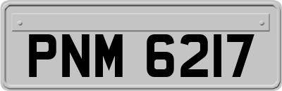 PNM6217