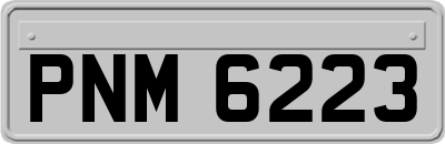 PNM6223