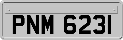 PNM6231