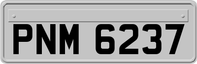PNM6237