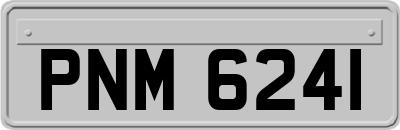 PNM6241