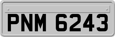 PNM6243
