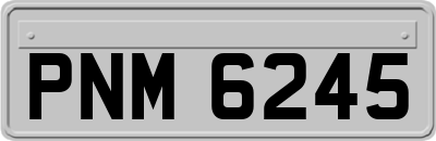 PNM6245