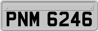 PNM6246