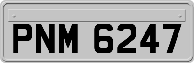 PNM6247