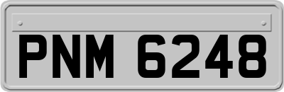 PNM6248
