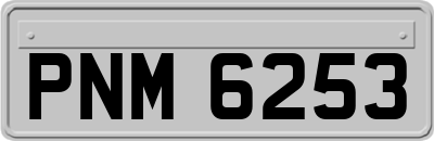 PNM6253