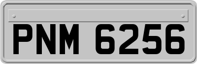 PNM6256