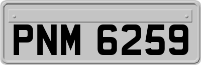 PNM6259
