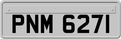 PNM6271