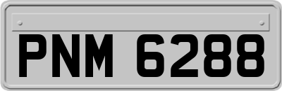 PNM6288