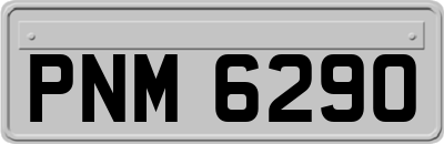 PNM6290