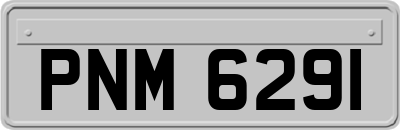 PNM6291