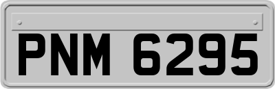 PNM6295