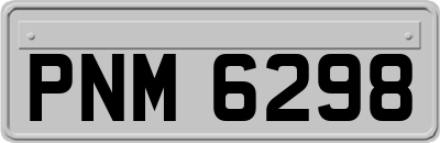 PNM6298