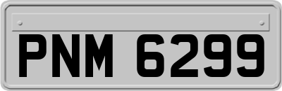 PNM6299